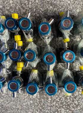检修FLOWLINK 1/4FVCR手动阀组，蓝色dataset详询