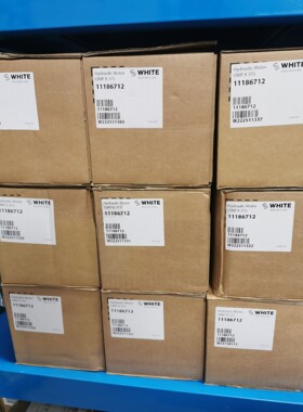 维修指导怀特摆线马达OMPX315 11186712详询