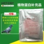 Thuốc chim bồ câu Hannover Daquan bia thông thường men bột vàng protein bột vẹt chim sản phẩm sức khỏe chim bồ câu cung cấp - Chim & Chăm sóc chim Supplies lồng cu gáy đẹp