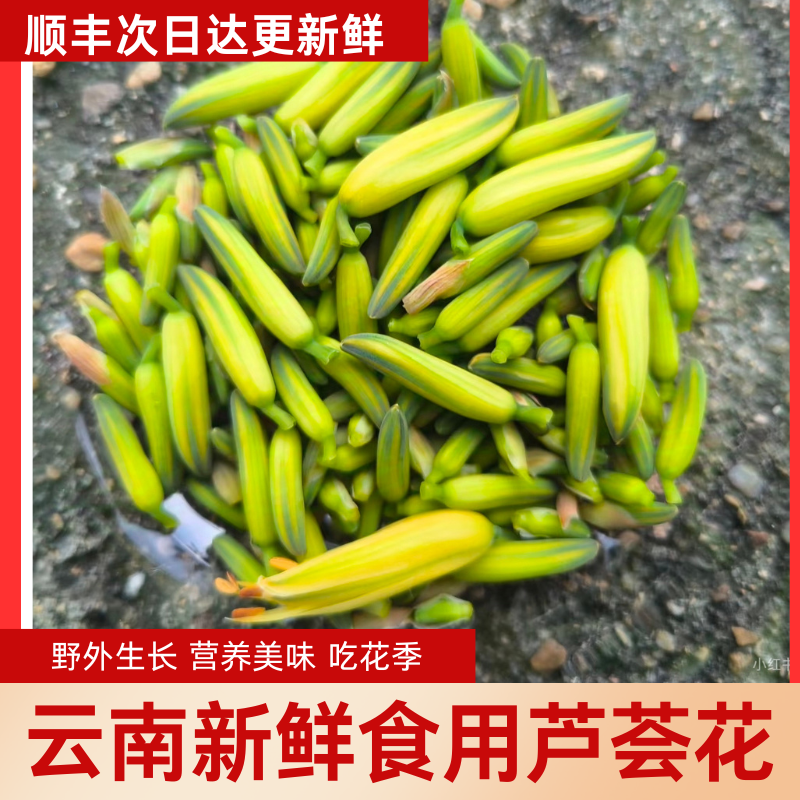 新鲜芦荟花野生云南鲜花食用花骨朵农家特色蔬菜餐厅私房菜应季菜
