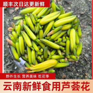 新鲜芦荟花野生云南鲜花食用花骨朵农家特色蔬菜餐厅私房菜应季菜