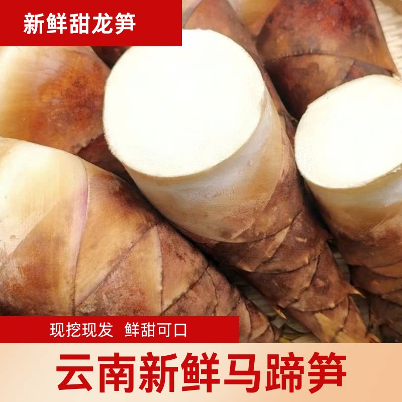 云南新鲜马蹄笋龙笋甜笋新鲜春笋竹笋