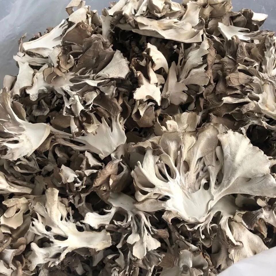 灰树花干货云南山珍菌子舞茸蘑菇口感仿干巴菌