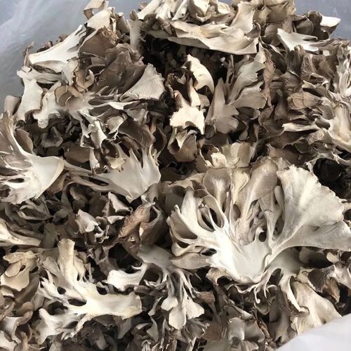 灰树花干货云南山珍菌子舞茸蘑菇口感仿干巴菌