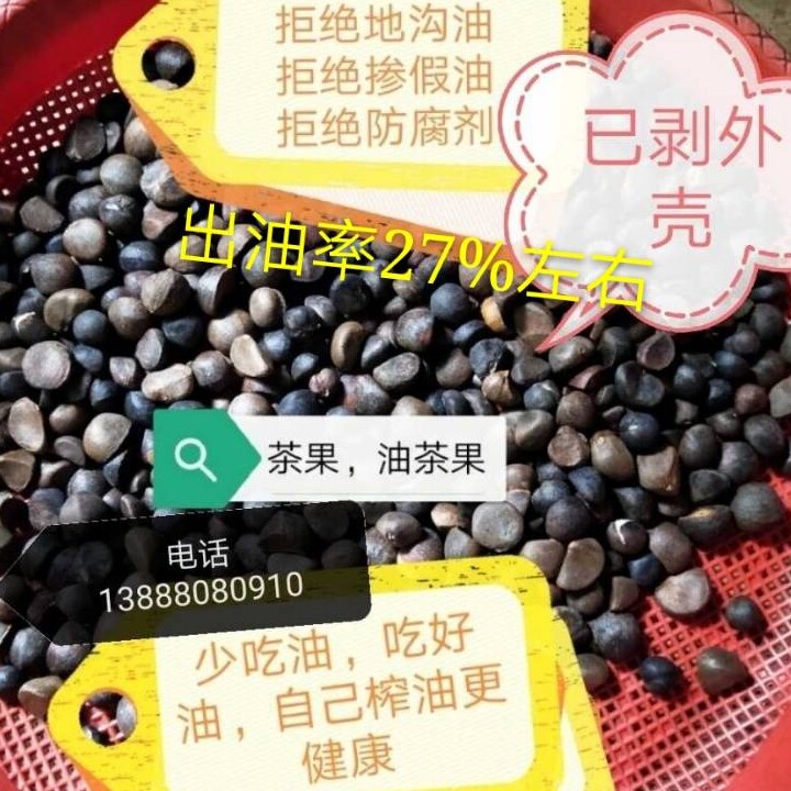 剥壳茶籽仁油茶果仁茶子果山茶籽仁油茶籽仁山柚仁山茶麸洗头榨油图片