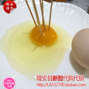 广西南宁隆安农产品丁当食用土农村野鸡蛋 散养新鲜15个约500g