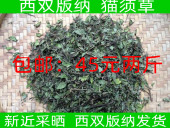 精选货 纳猫须草化石草云南猫须草玉喃猫须草散装 40元 公斤西双版