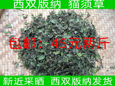 45元/公斤西双版纳猫须草化石草云南猫须草玉喃猫须草散装精选货