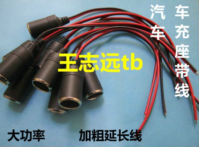 chargeur 10A - Ref 1294985 Image 1