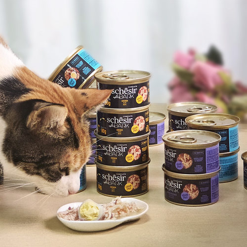 贝多芬宠物/Schesir雪诗雅进口黑夜传说猫罐全价湿粮主食猫罐拼箱