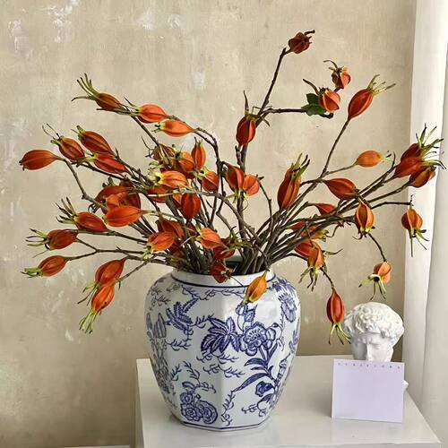 栀子果鲜切枝水培室内装饰花材