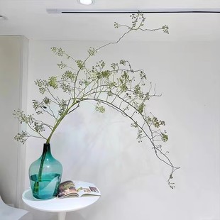 山归来蔷薇果新鲜鲜切枝水养水培绿植中式客厅展厅插花可做干花