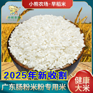 五斤装2025年新收割早稻米无粘性口感差早米早籼米适合爸妈吃的米