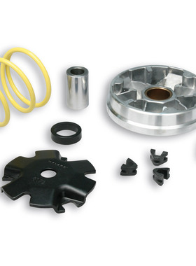 malossi 改装 传动 DIO 18 28 普利盘 离合器 碗公 皮带 大弹簧