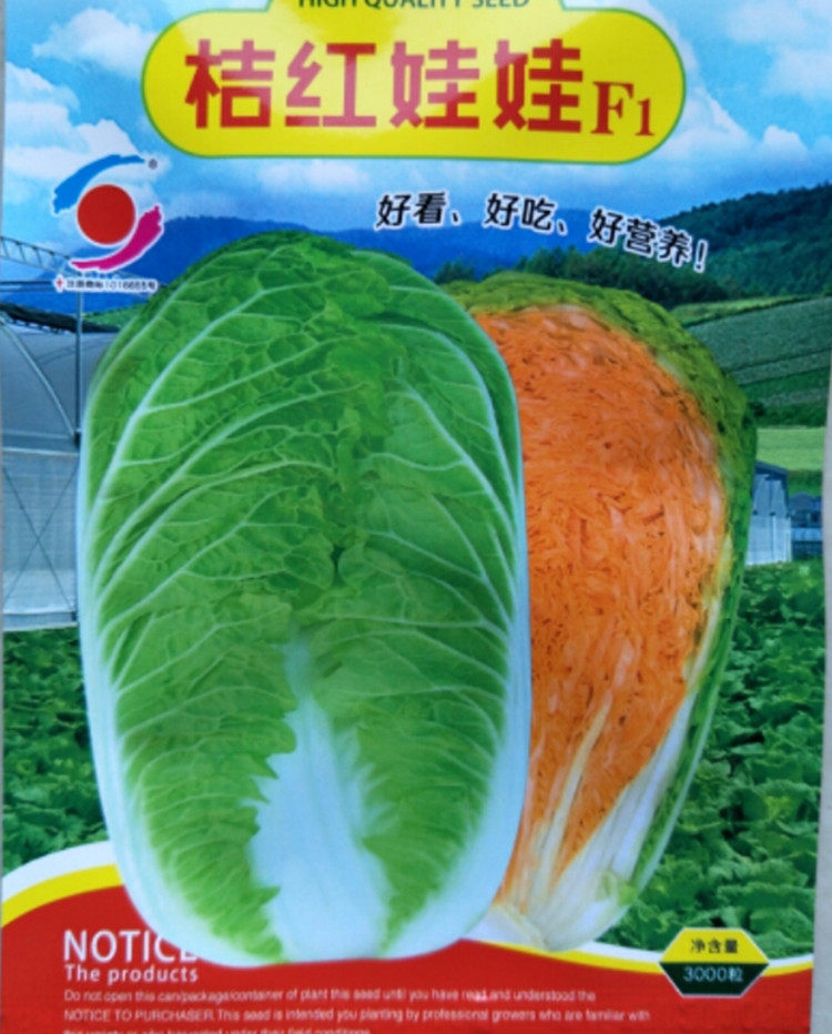 Four seasons Red Doll Baby food seed Cabbage Red Baby food seed Vegetable Seedsin the Agricultural goods , Seed/Seedlings , Vegetable Seeds  category - from Buy2taobao.com to provide professional Taobao agent buy service