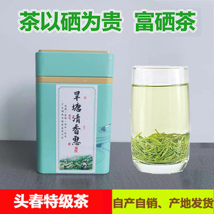 湖南汝城特产旱塘清香惠茶叶2026新茶硒山茶100g春茶浓香特级绿茶
