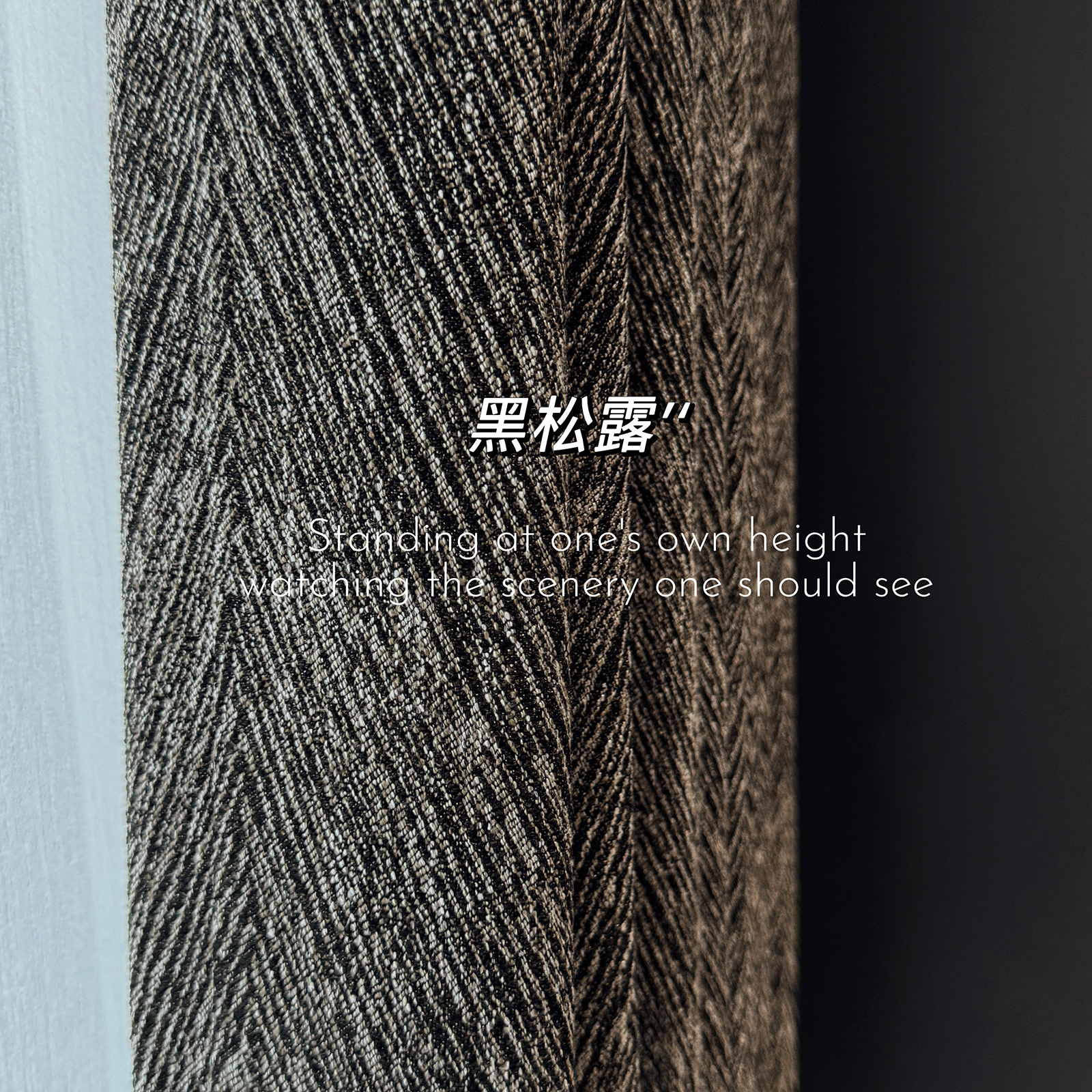 黑松露 意式极简高级感卧室全遮光窗帘棉麻几何肌理黑色窗帘定制