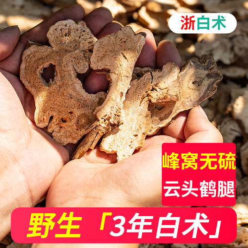 深山多年野生白术中药材