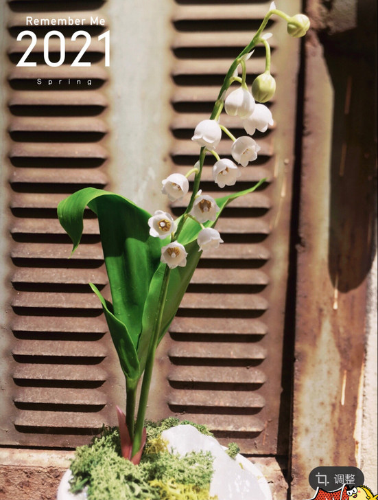 remember me forever 粘土 仿真 铃兰摆件 拓香石 2021年春季限定