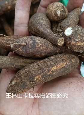 纯正深山现挖牛大力薯根小黑牛山莲藕 泡酒药材滋补汤料