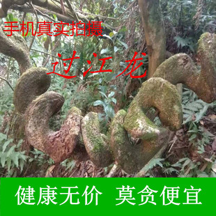 过江龙 过山枫 过江龙藤 腰扭龙 左右扭干货 切片500克包邮