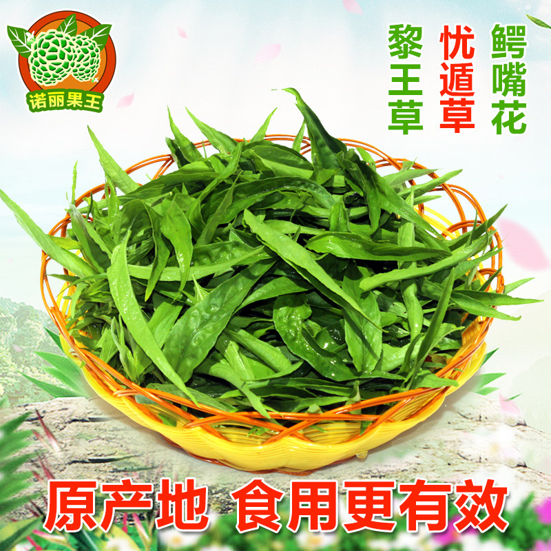 海南五指山黎王草新鲜叶子 忧遁草鲜叶 优顿草优遁草优盾草鳄嘴花