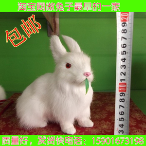 真皮毛仿真兔子吃草兔十二生肖摆件皮草工艺品可爱小白兔道具包邮