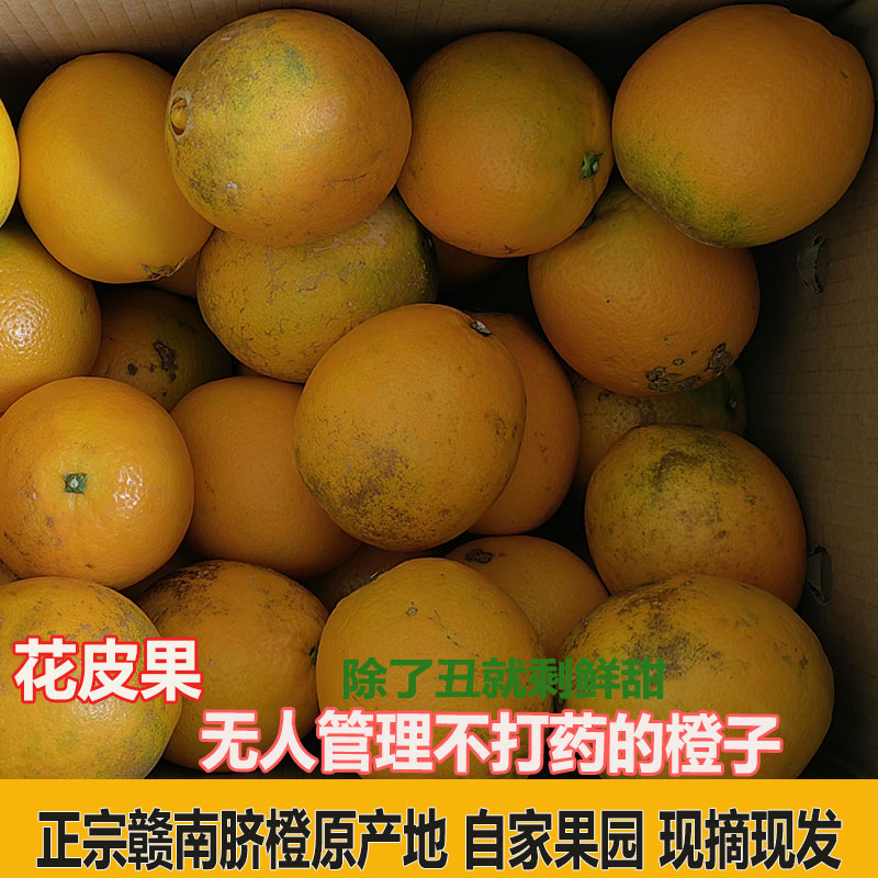 新鲜赣南脐橙榨汁丑橙子花皮果整箱当季现摘手剥安远信丰寻乌