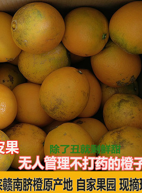 新鲜赣南脐橙榨汁丑橙子花皮果整箱当季现摘手剥安远信丰寻乌