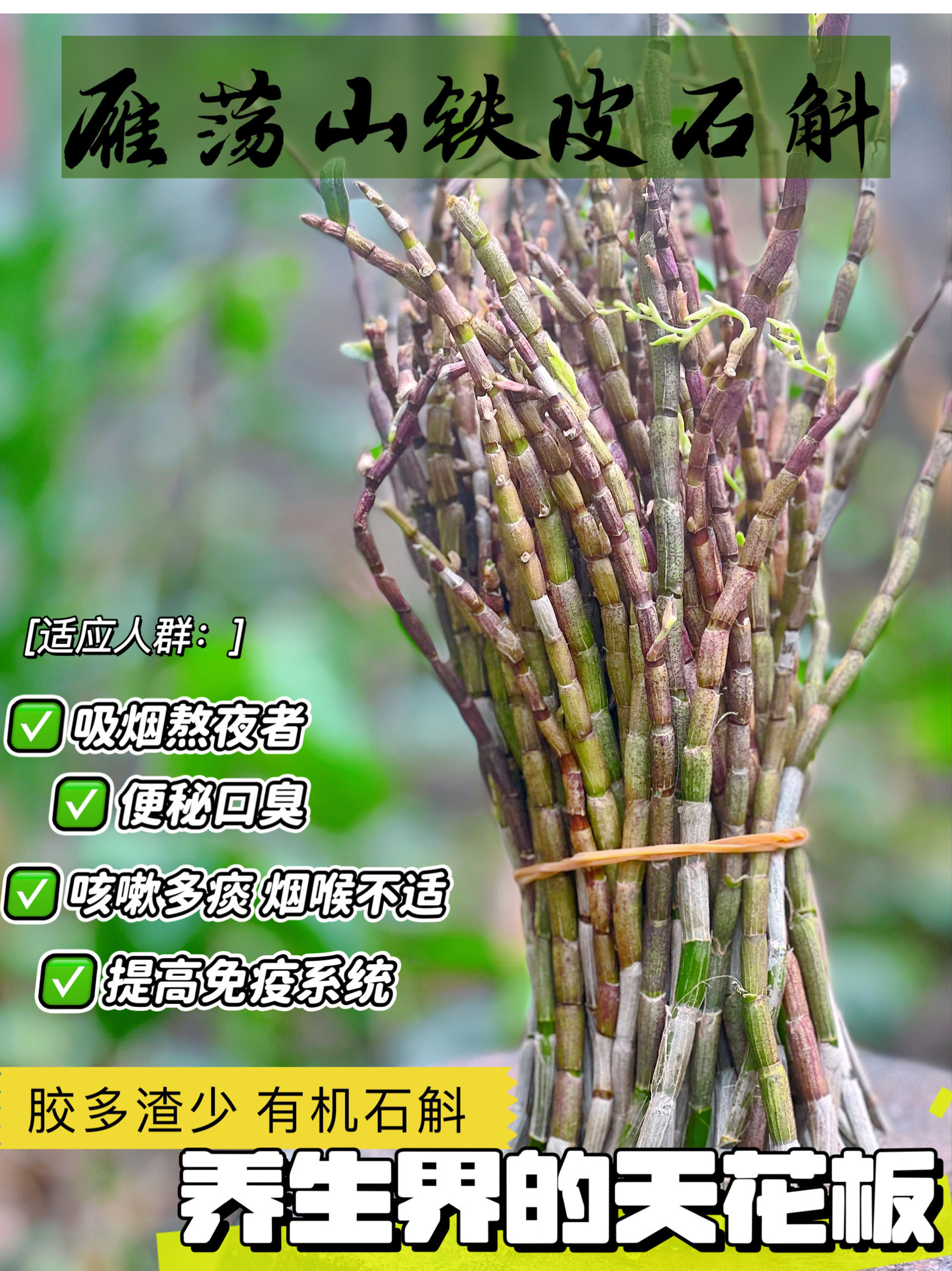 雁荡山铁皮石斛霍山石斛鲜条铁皮枫斗铁皮干花