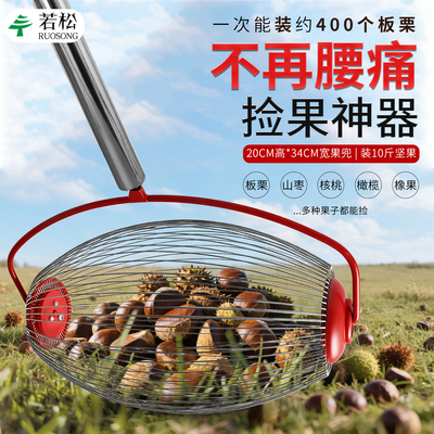 水果收集器拾果器快速捡果神器捡拾器捡栗工具捡山核桃板栗坚果