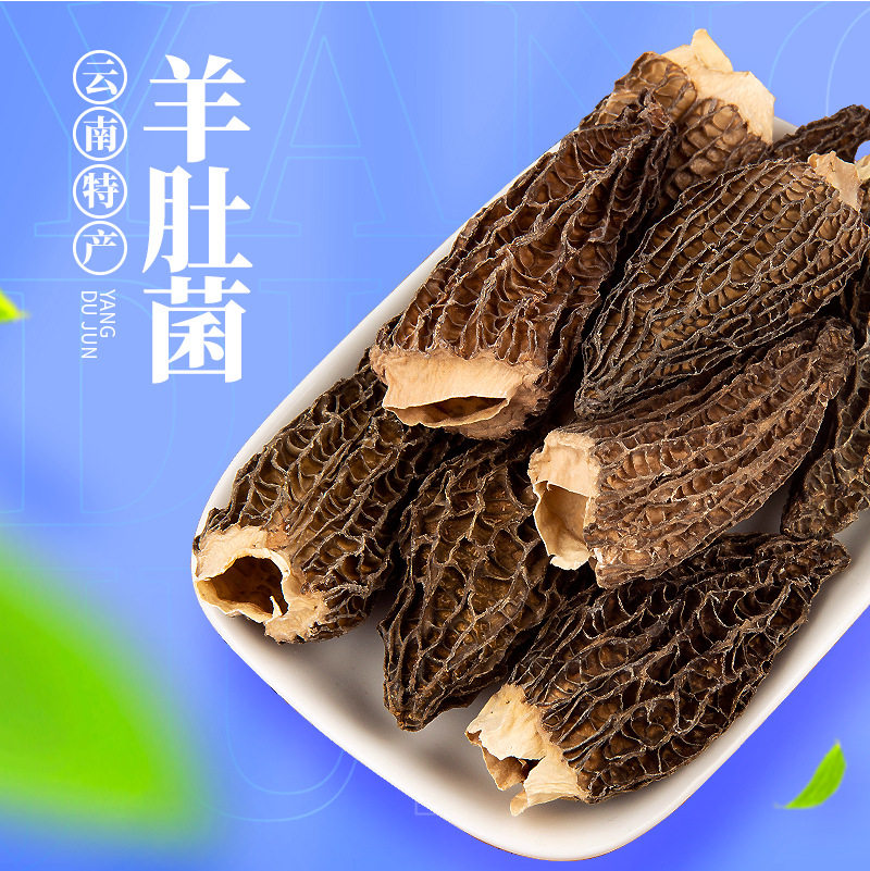 羊肚菌云南特产菌菇类新鲜野生蘑菇菌类牛肚菌