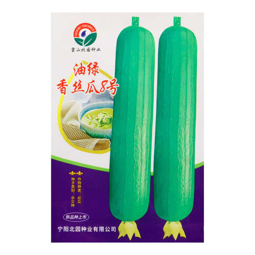 丝瓜种籽油绿香丝瓜春秋季播种