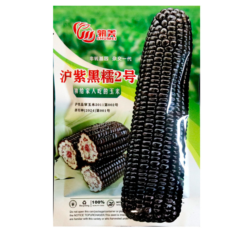 沪紫黑糯2号玉米种子紫黑糯玉米种籽