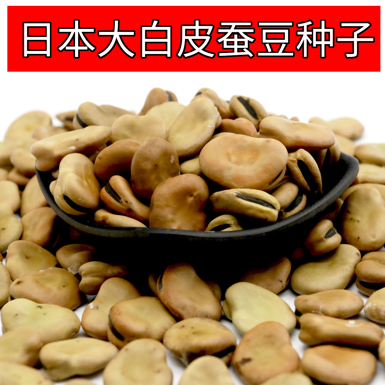 日本大白皮蚕豆种子大板胡豆种籽