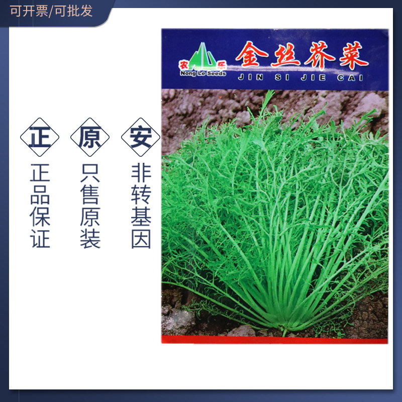 金丝芥菜种子上海农家菜品种腌制咸菜爽脆可口秋冬种耐寒
