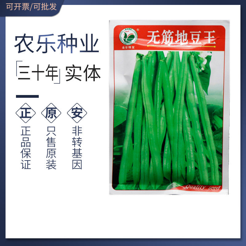 无筋地豆王种子种籽圆棍形菜豆籽刀豆籽四季豆籽无架100g,农用物资,蔬菜种子/种苗,淘宝优惠券,粉丝福利购,淘宝优惠卷