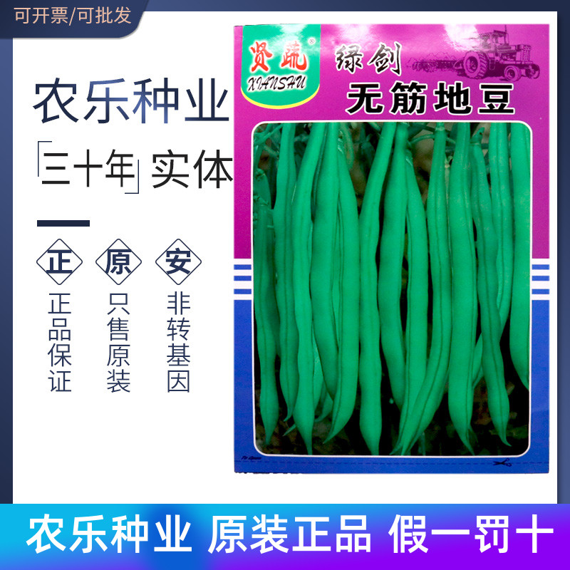 绿剑无筋地豆种子矮株四季豆矮箕刀豆籽无架菜豆矮生500g