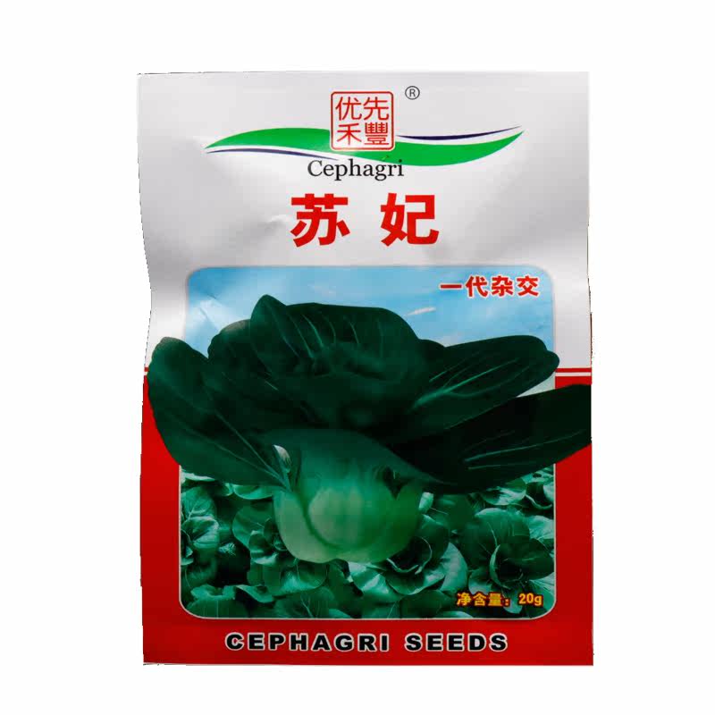 苏妃青菜种子杂交苏州青种籽