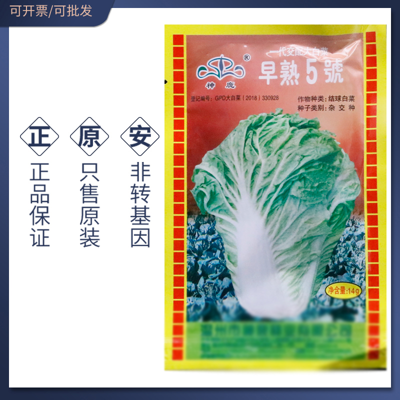 神鹿早熟五号大白菜种子