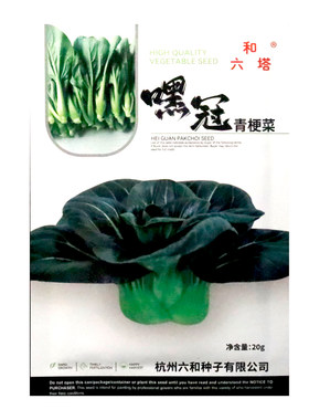 六和塔嘿冠青梗菜种子杂交苏州青菜种籽深绿