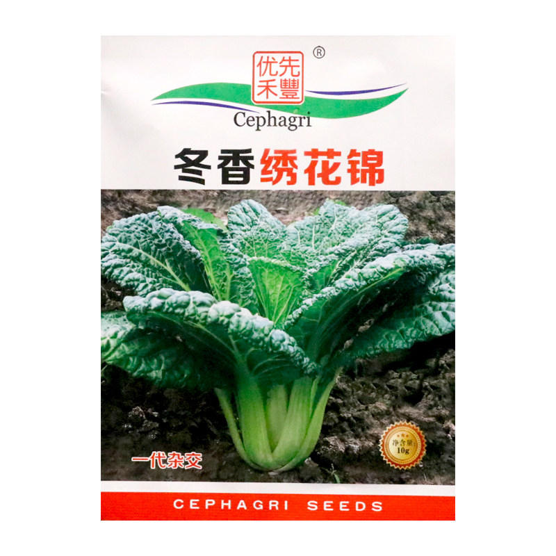 冬香绣花锦青菜种子黑叶香青菜种籽叶片深绿黑叶绣花锦籽