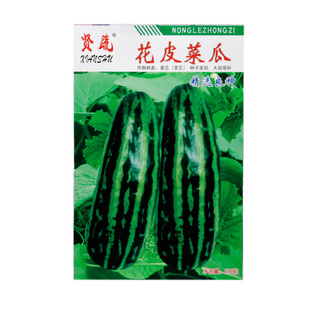 花皮菜瓜种子老品种菜瓜种籽酱瓜用菜瓜籽菜瓜种子生食炒菜腌制