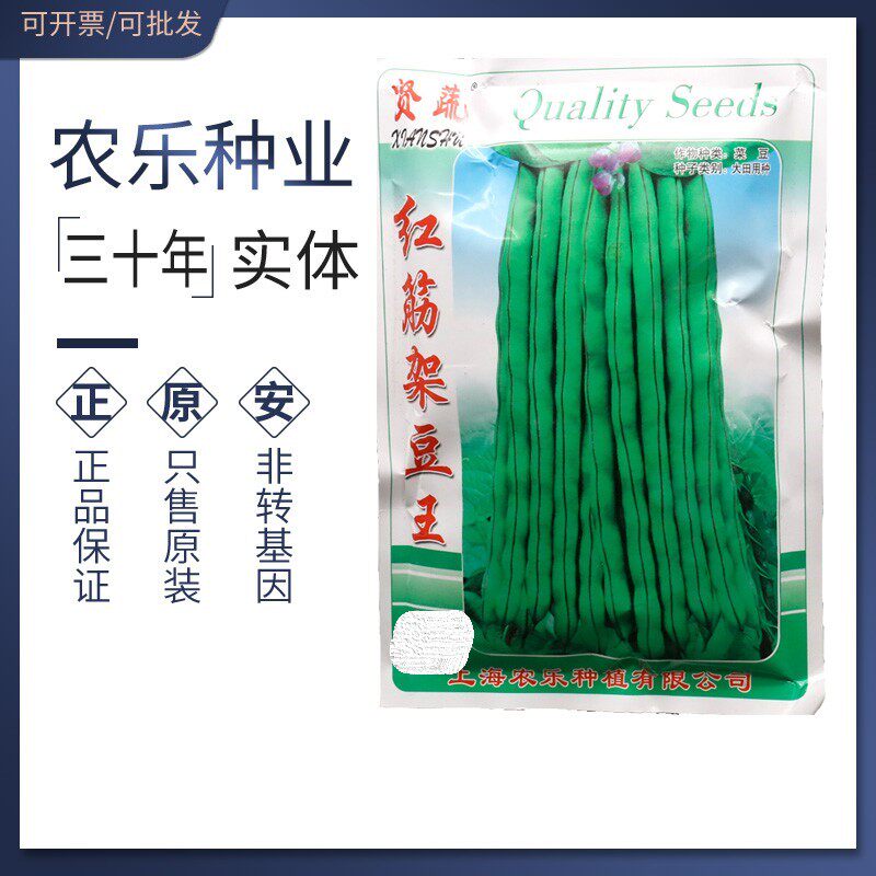 红筋架豆种子红筋四季豆种子无筋搭架蔓生红筋架豆种籽刀豆春秋播