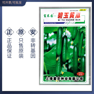 杂交水果黄瓜种子种籽 富农 富菜园碧玉黄瓜籽 无刺高产