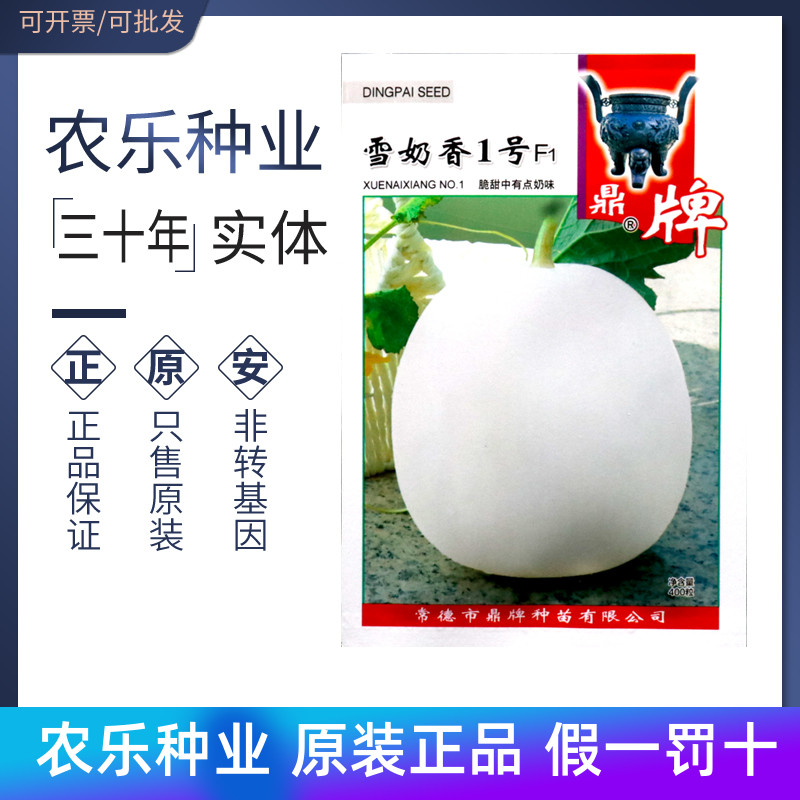 鼎牌雪奶香1号F1甜瓜种子白皮甜瓜籽薄皮早熟杂交甜瓜香