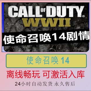 使命召唤14二战 steam离线中文电脑游戏 pc正版单机