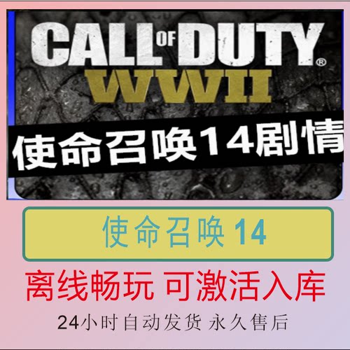 使命召唤14二战steam离线游戏