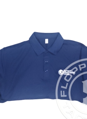 Forward observations group 