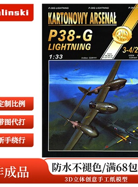 Halinski KA 2008-03-04 - P-38G Lightning